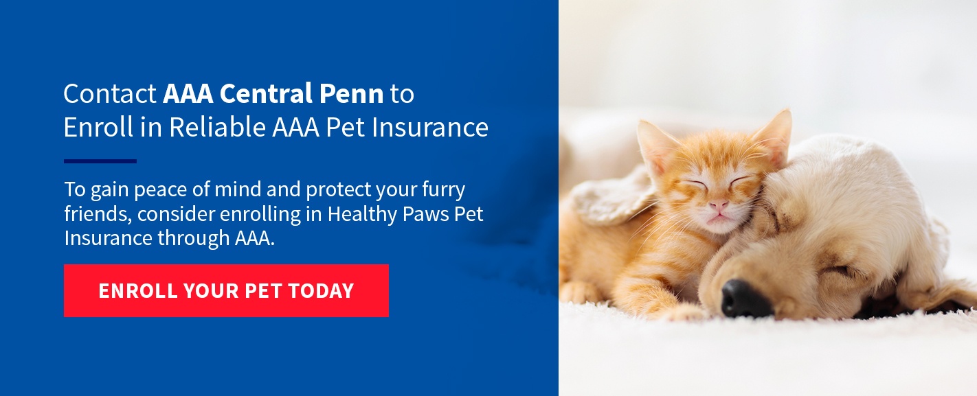 AAA Life Insurance in Central PA | AAA Central Penn