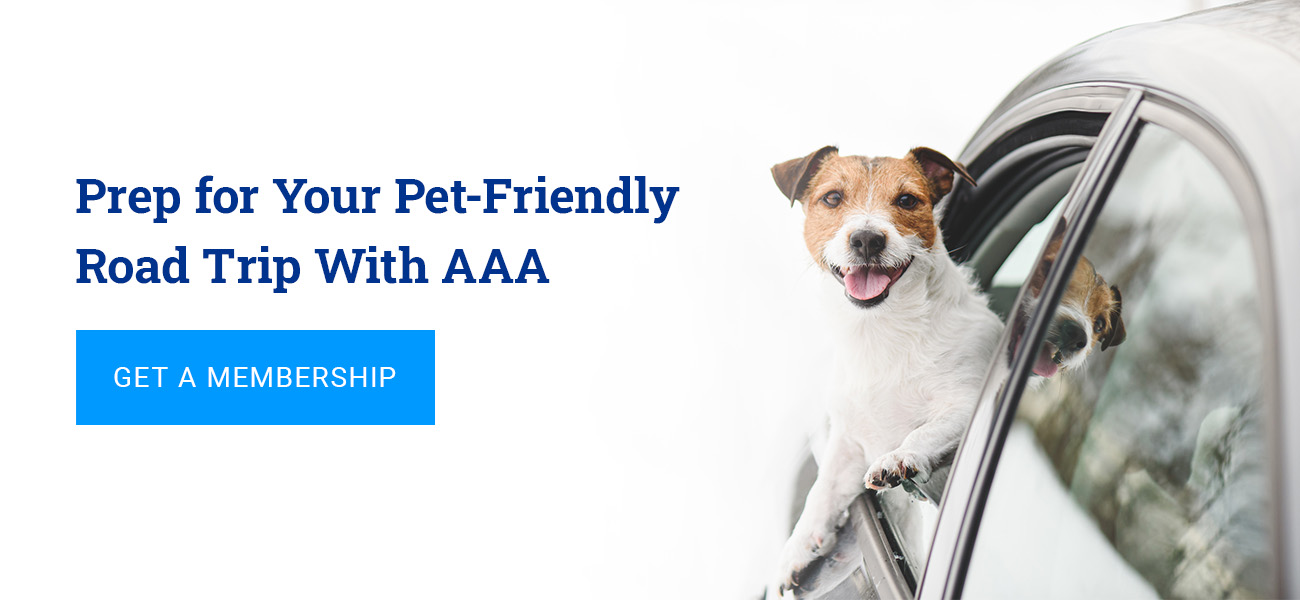 Prep for Your Pet-Friendly Road Trip With AAA