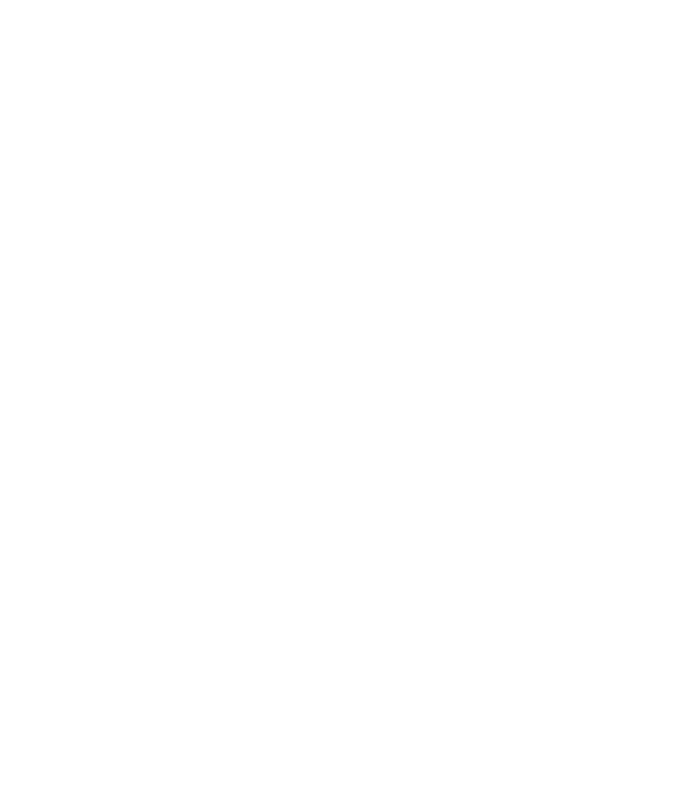 Icon - Accident Insurance