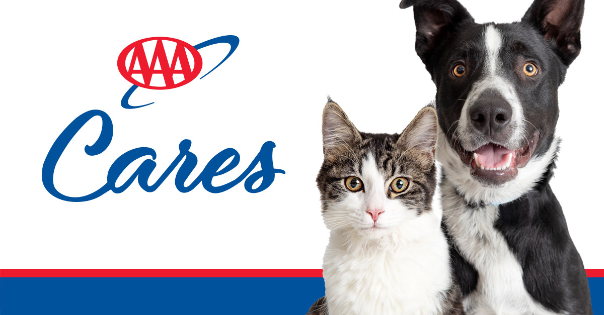 AAA Cares Supports Local Animal Shelter