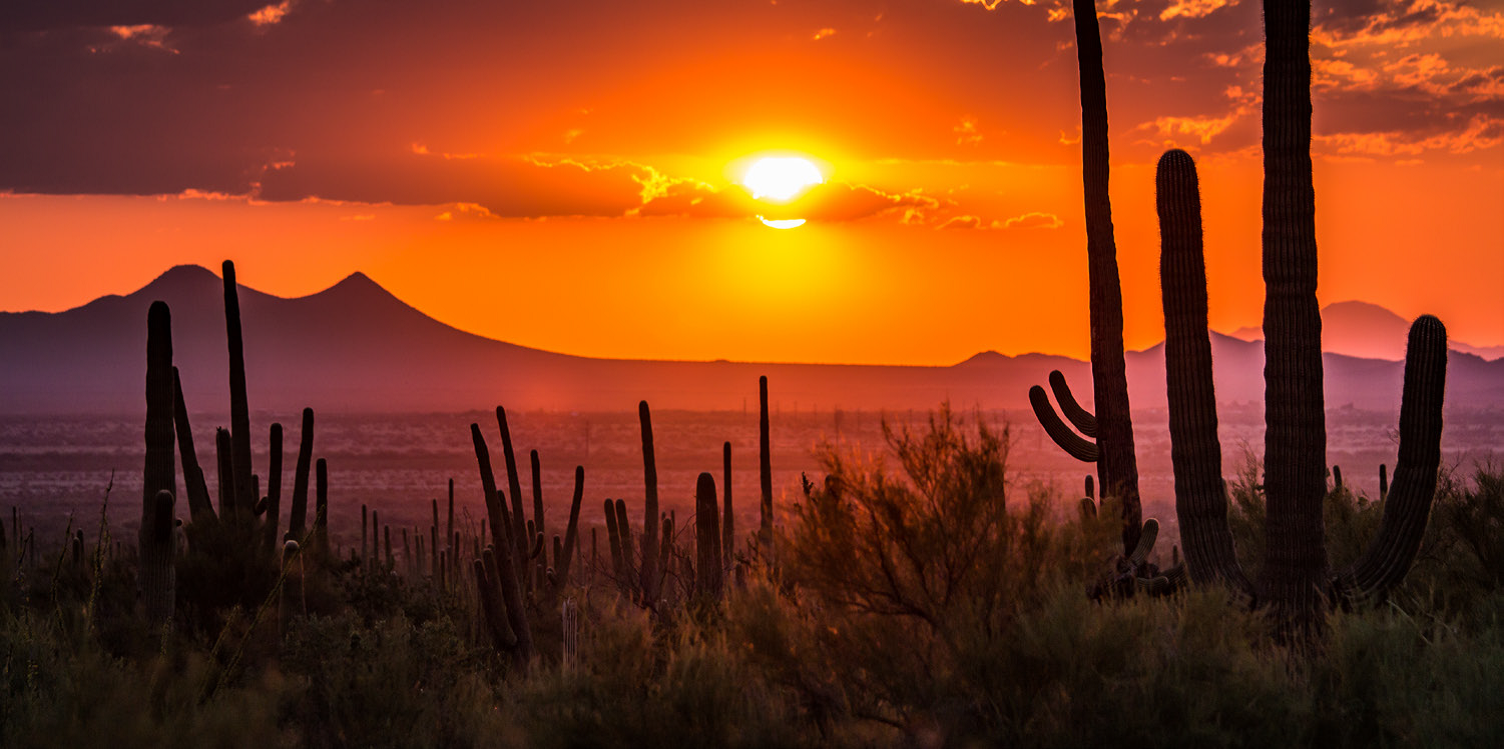 california_arizona1