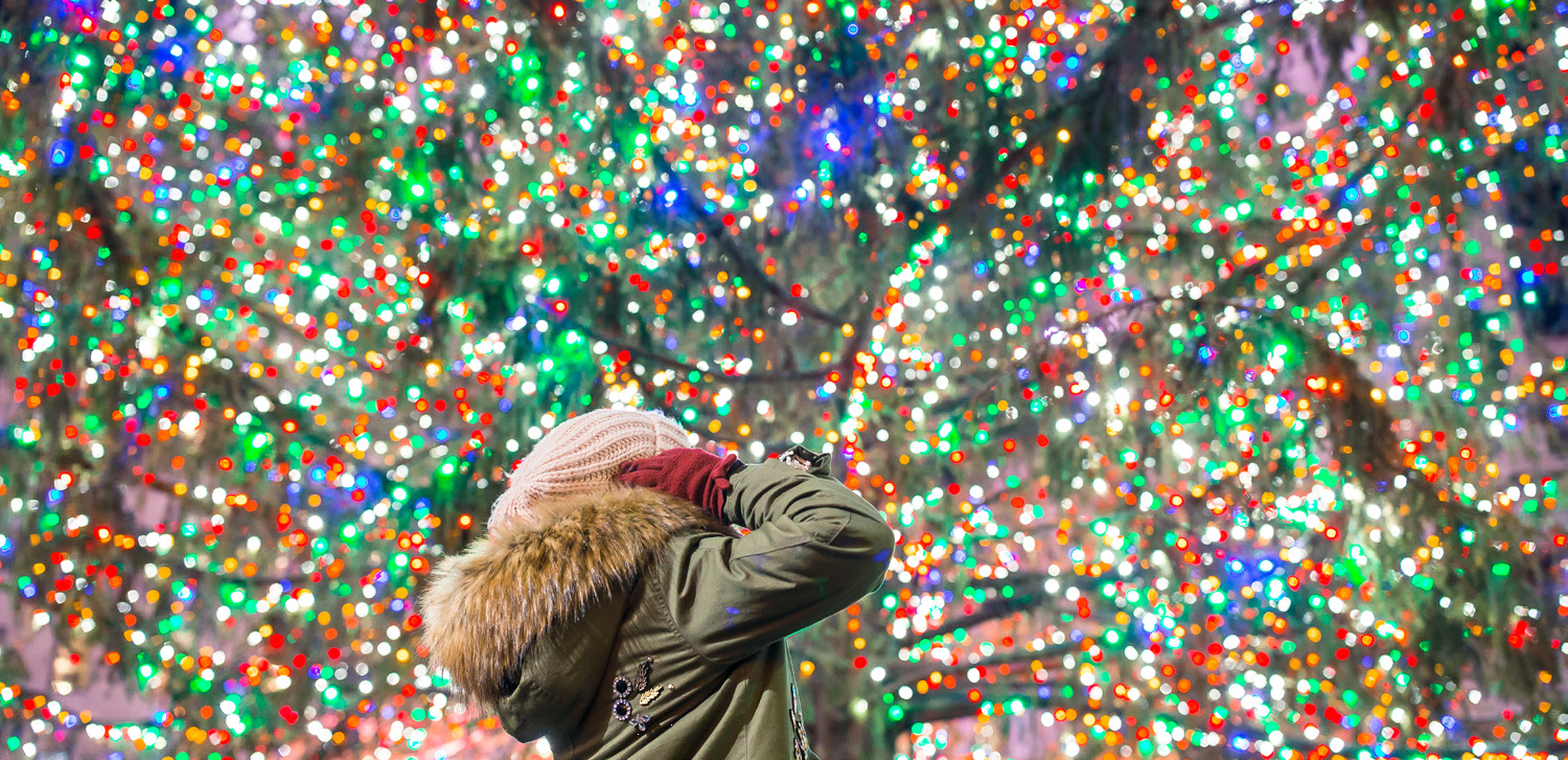 Holiday Lights & Movie Sites