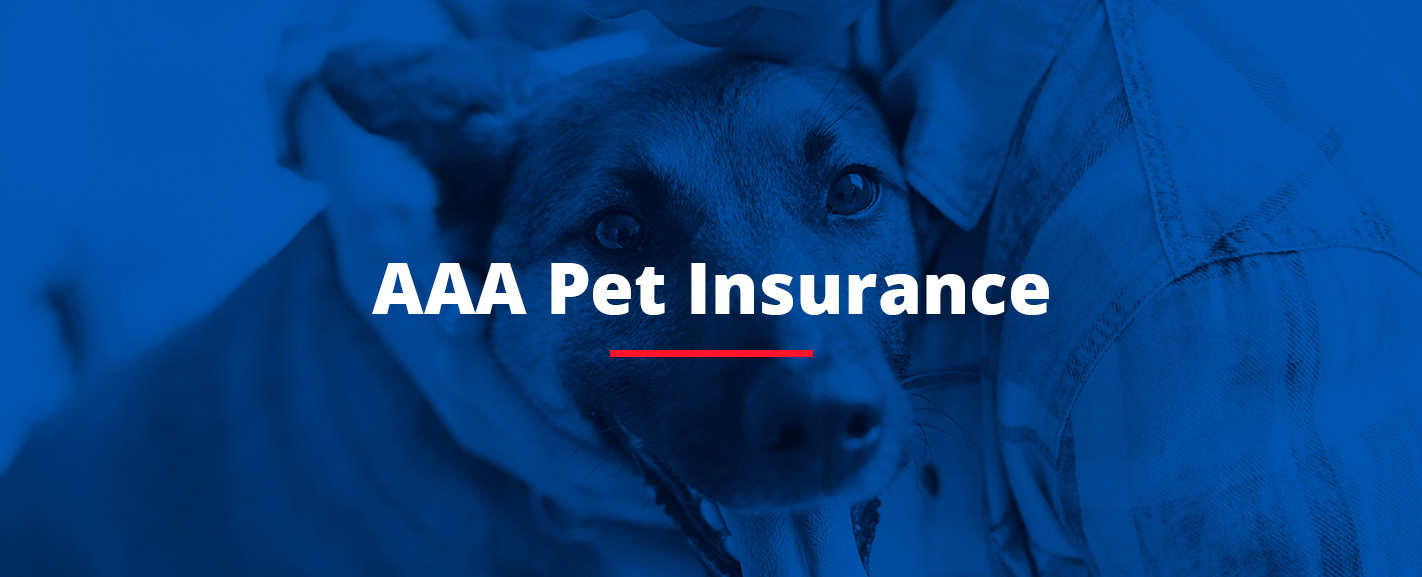 AAA pet insurance