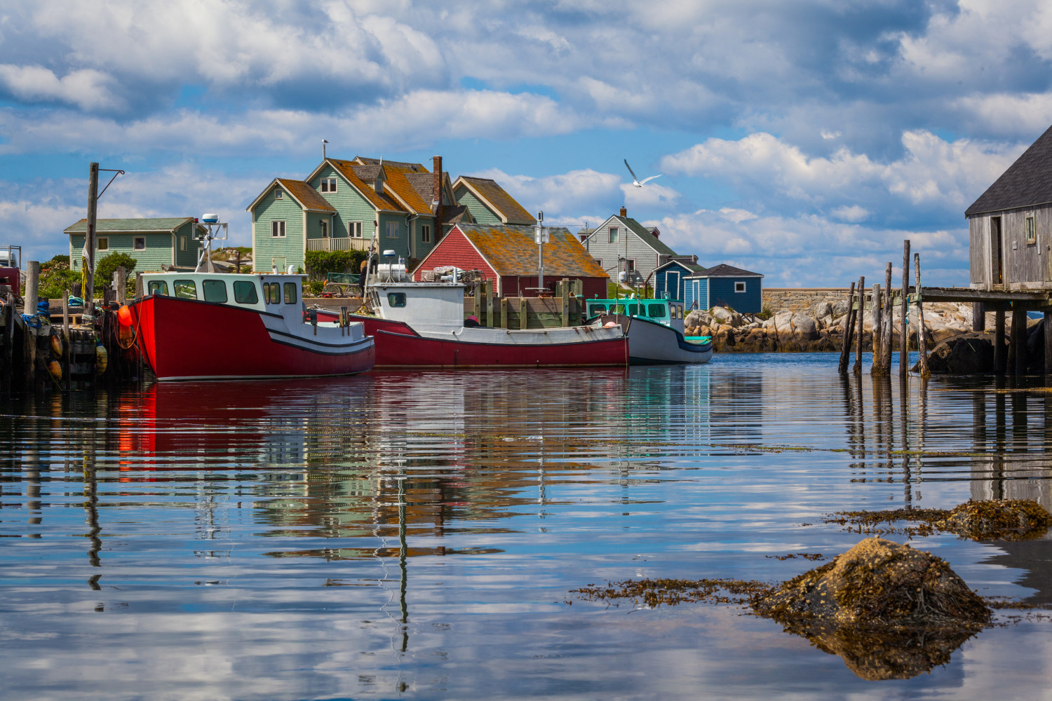Peggy's Cove Halifax Nova Scotia 2022