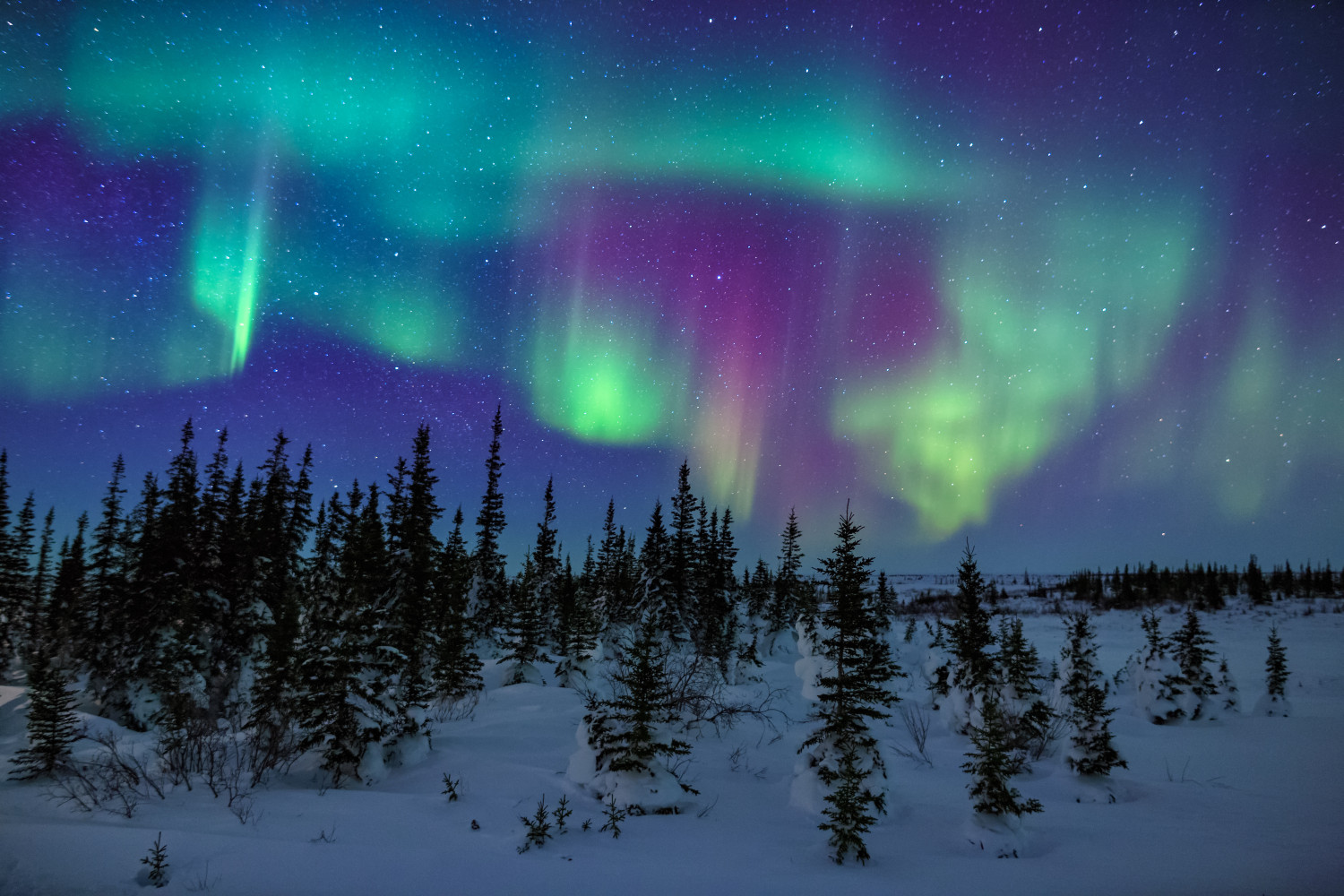 Iceland's Northern Lights