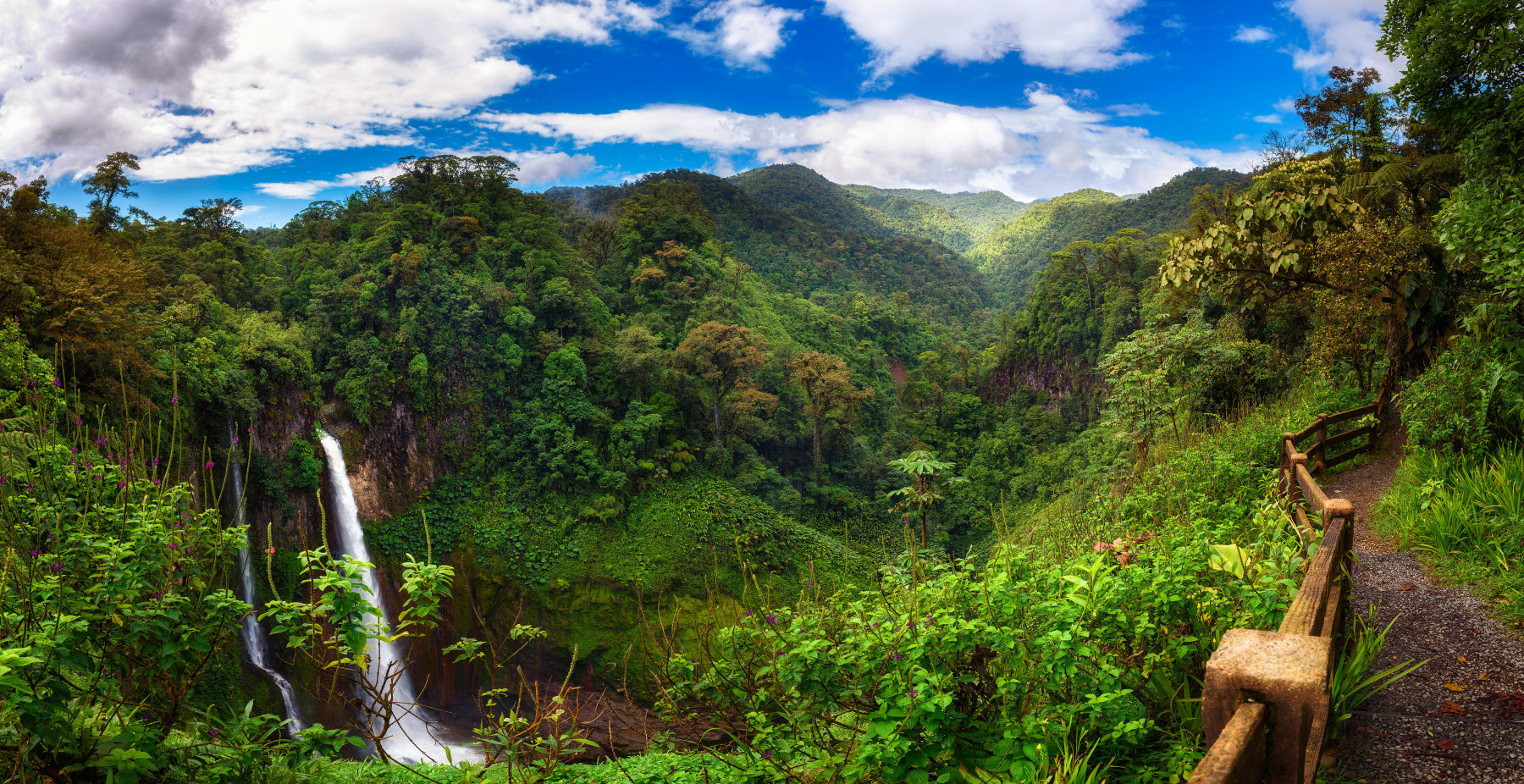 Jungle Costa Rica