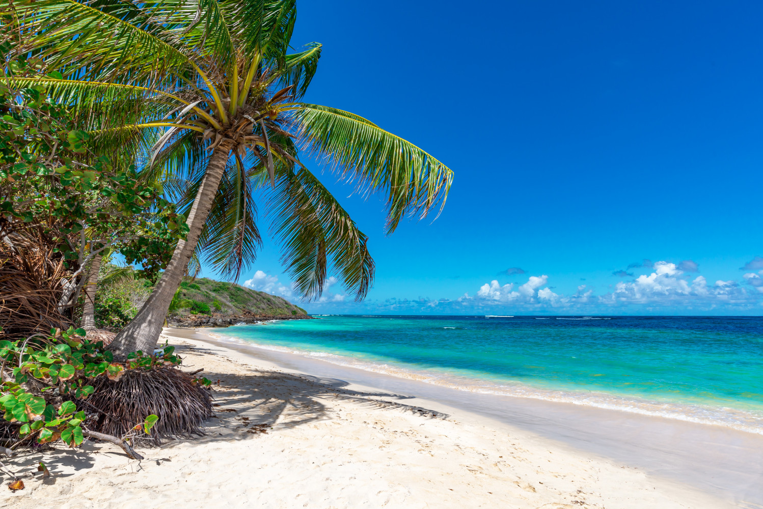 Nassau Bahamas 2023