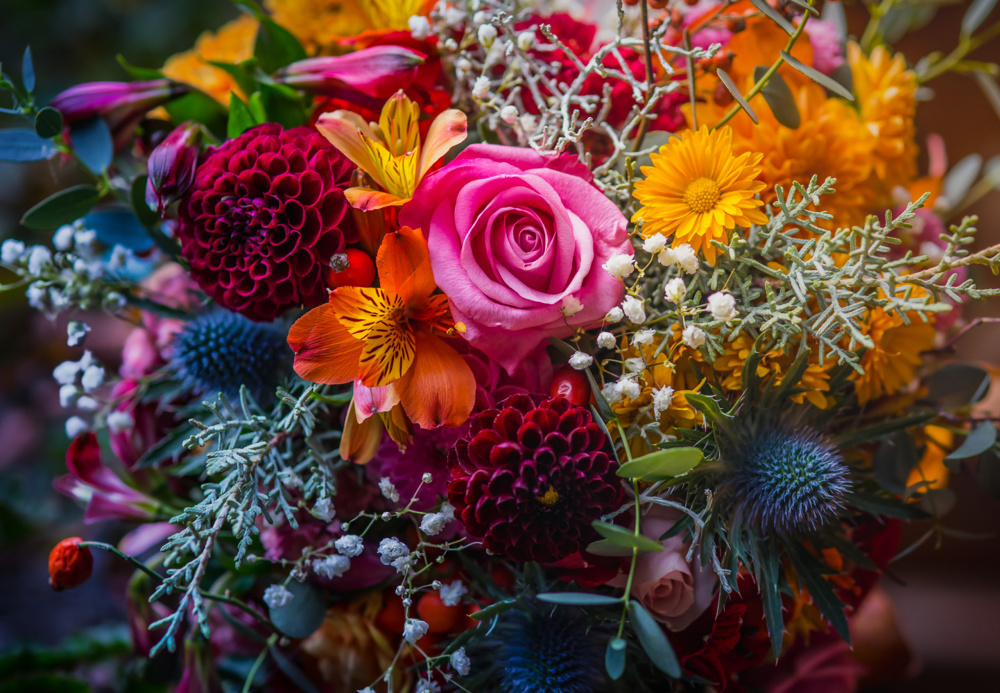Flower Show only