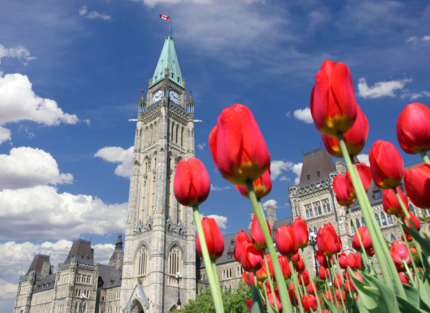 Parliament of Canada, Tulip Festival, Ottawa