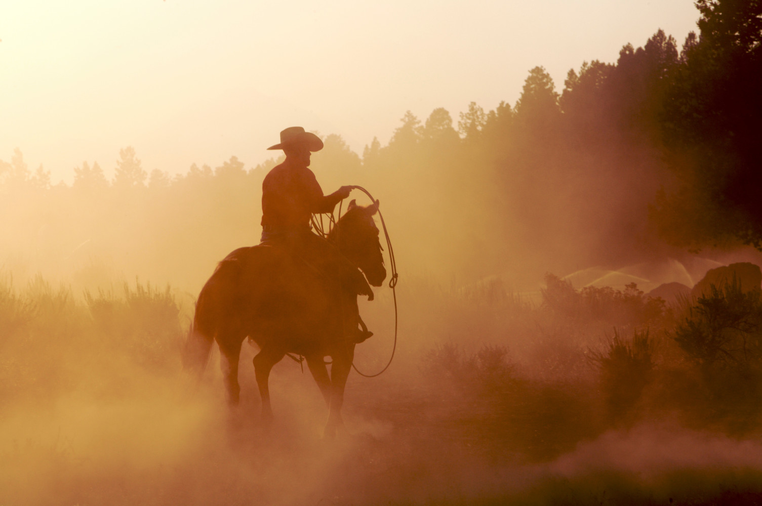 Arizona Dude Ranch Cowboy Adventure