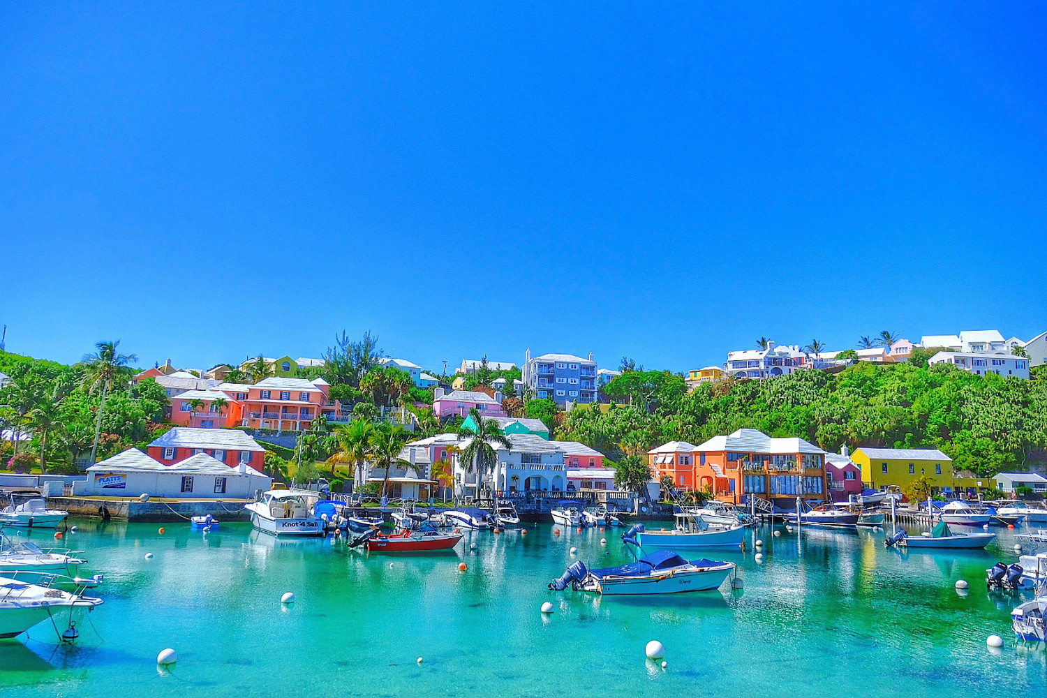 Bermuda Boat Harbor