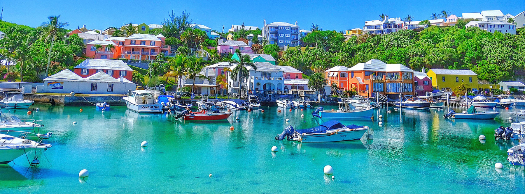 Bermuda - Ocean View