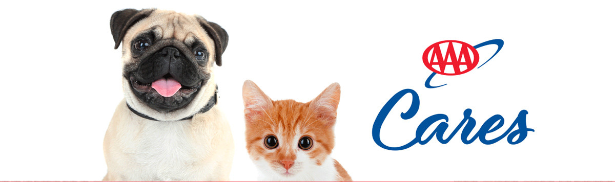 Pet Month - Banner