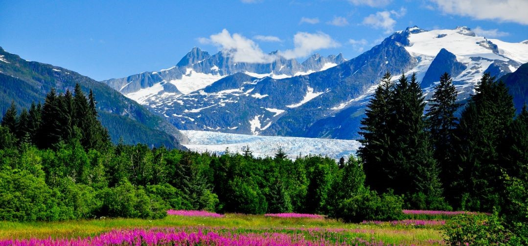 Mendenhall Glacier