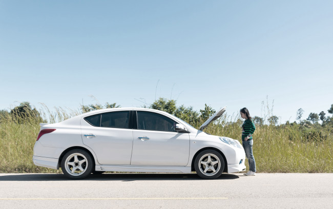 Roadside - White Car Woman