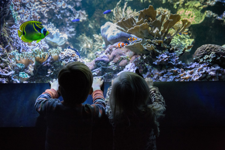 National Aquarium