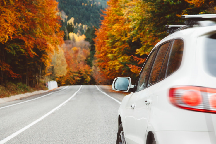 Automotive Fall White Car