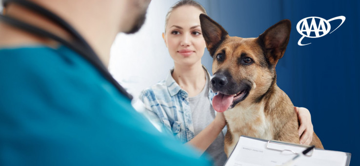 The Benefits of Pet Insurance