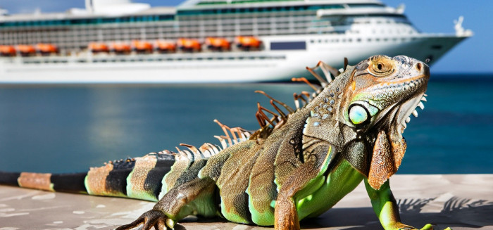 iguana in front of cruise in port