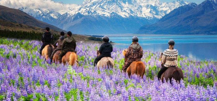 people on horseback
