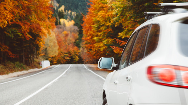 Automotive Fall White Car