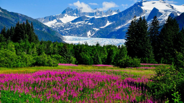 Mendenhall Glacier Juneau Alaska 2022