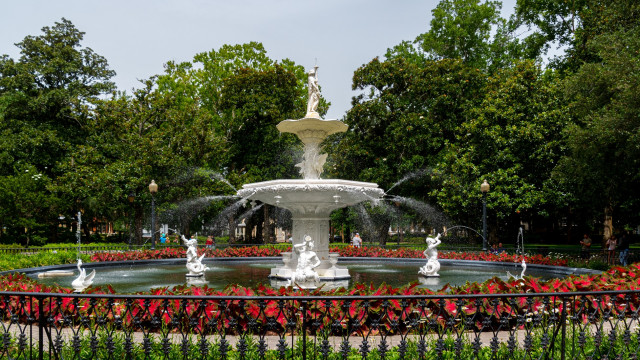 Savannah Fountain