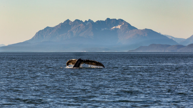 Juneau Alaska