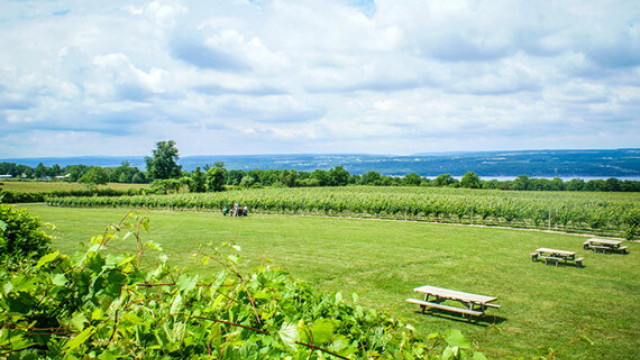 Majestic Finger Lakes