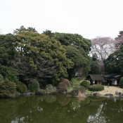 Travel - Photo Contest - Japanese Garden 42