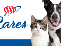 AAA Cares Supports Local Animal Shelters