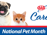 National Pet Month