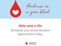Blood Drive - New Save A Life