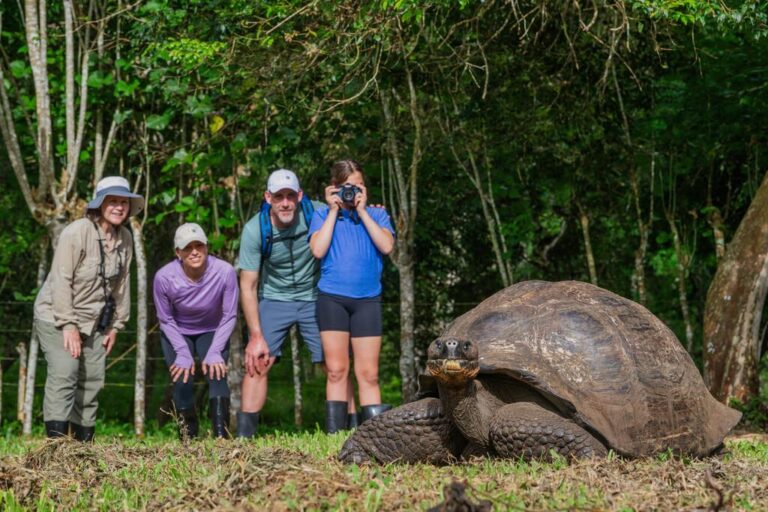 79c8892fb9303d465deb7fbd3d9f5316_scale_1x1