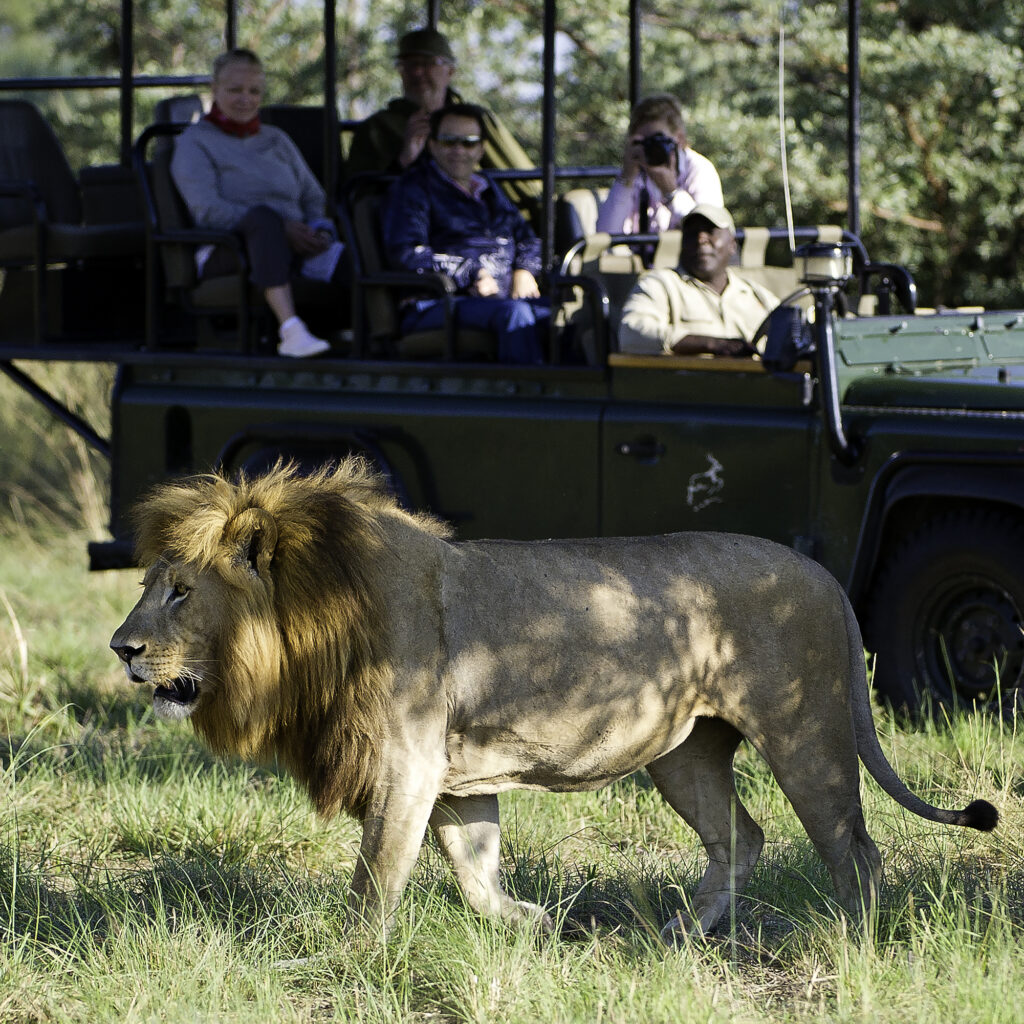 AR-Africa-2000x2000
