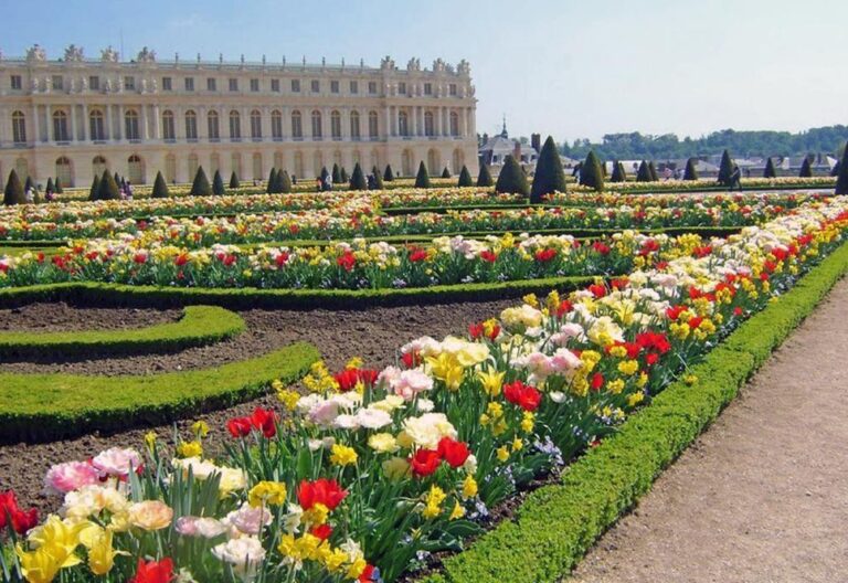 France-Member-Choice