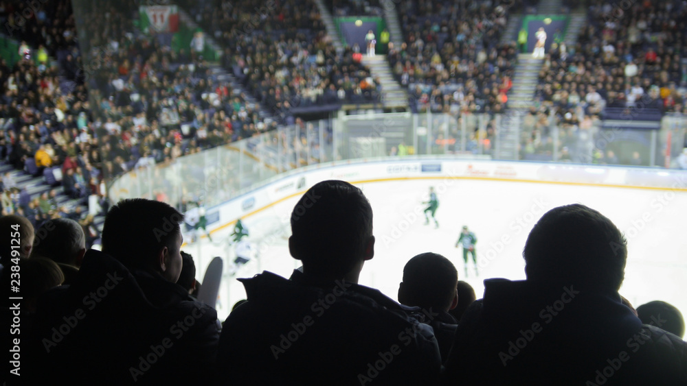 Hockey Crowd