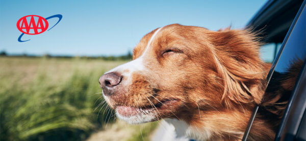 Central Penn AAA logo