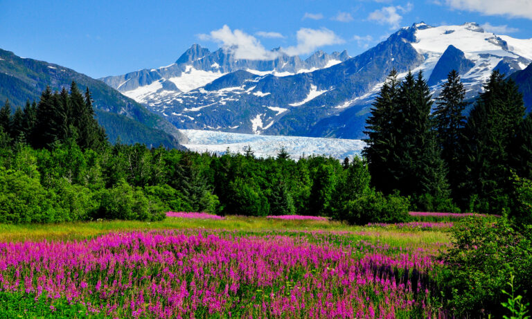 Alaskan Mountains