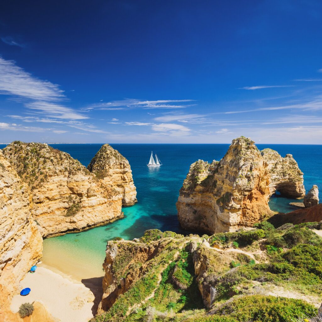 Member Choice France Magnifique