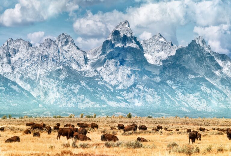 trafalgar_grand_teton