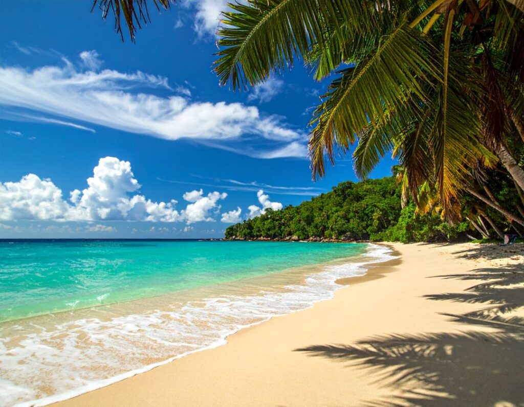 Travel Impressions beach